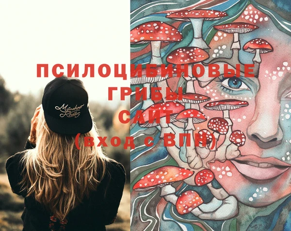 МДПВ Арсеньев