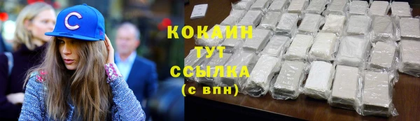 индика Аркадак