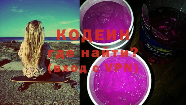 индика Аркадак