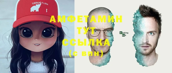 прущие крисы Гатчина