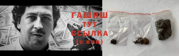 гидра Приозерск