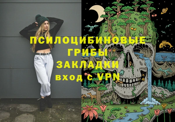 индика Аркадак