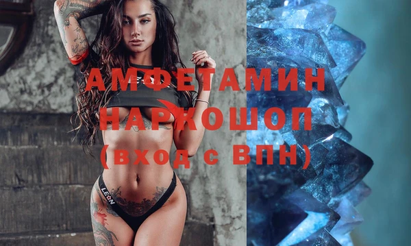 индика Аркадак