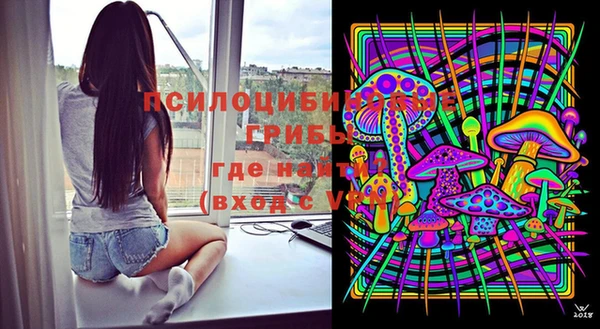 индика Аркадак