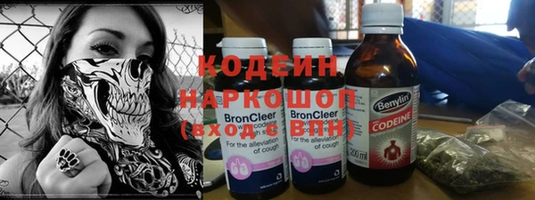 индика Аркадак