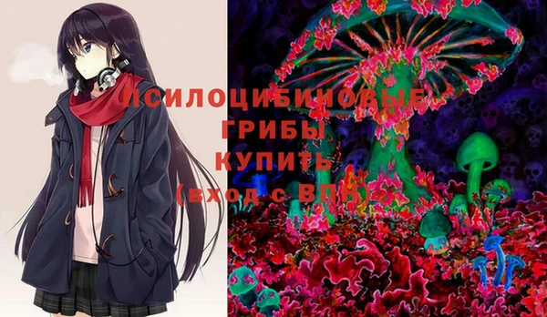 индика Аркадак